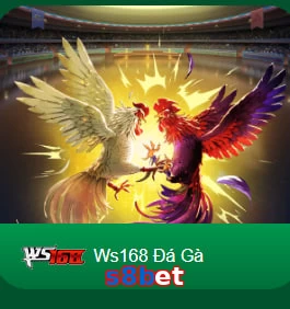 s8bet